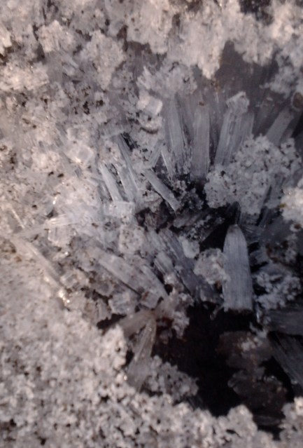 frost crystals two inches long over a puddle