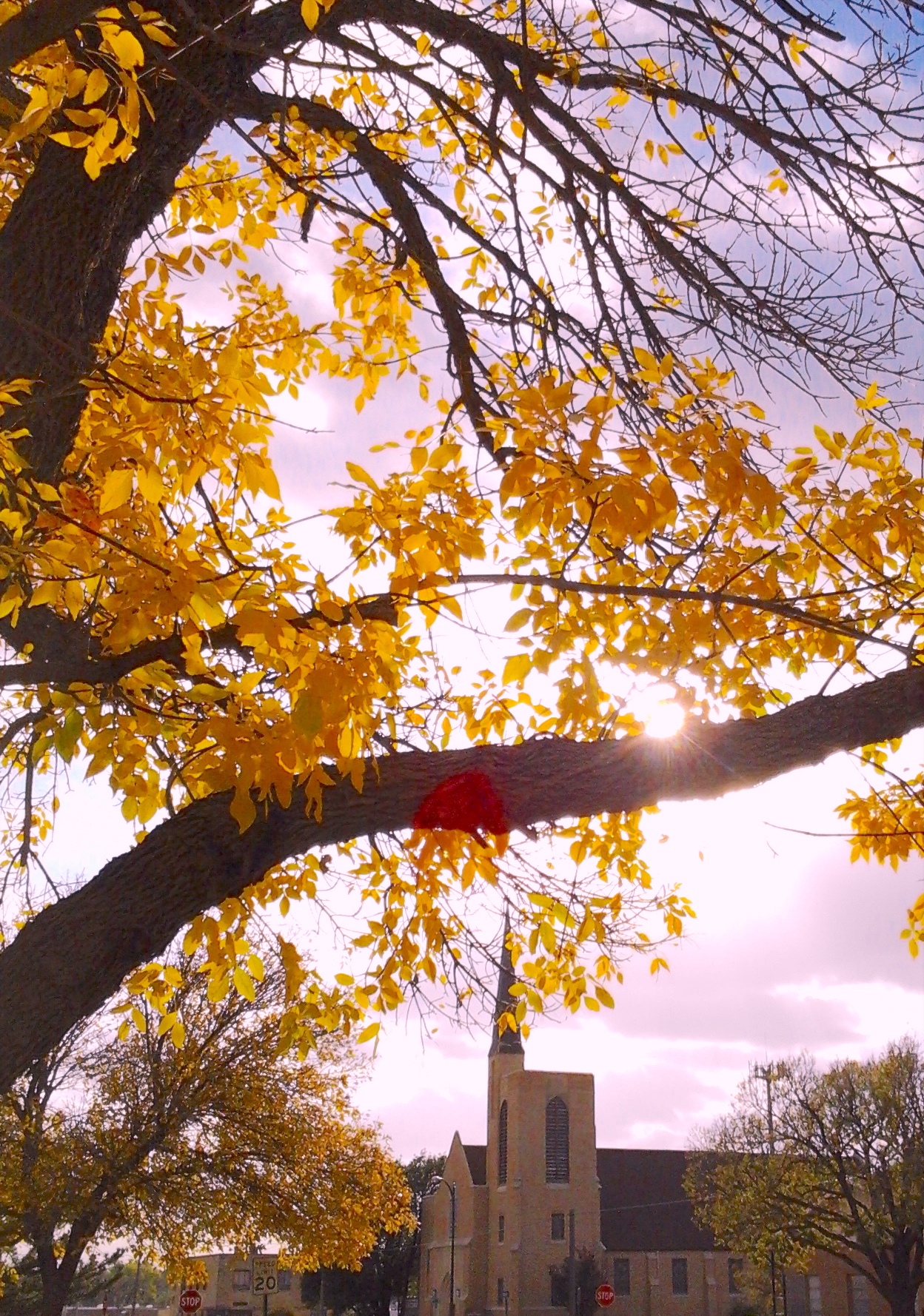 Baptist Church 10.20.17