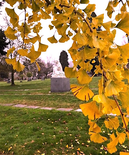 Thanksgiving Walk 11.22.18